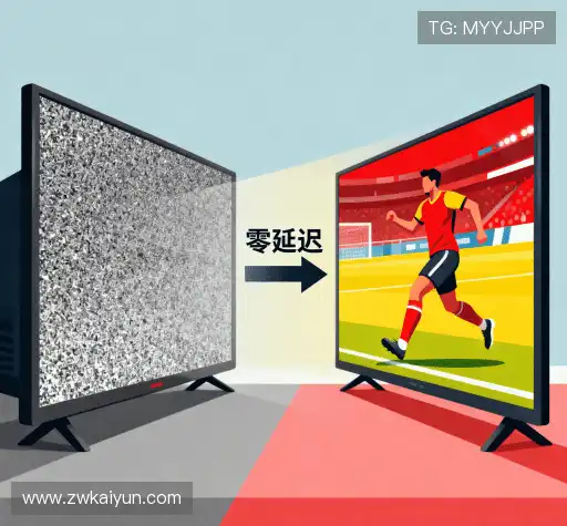 我们的风险管理